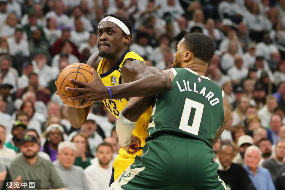 今年的羽毛 今年的羽毛